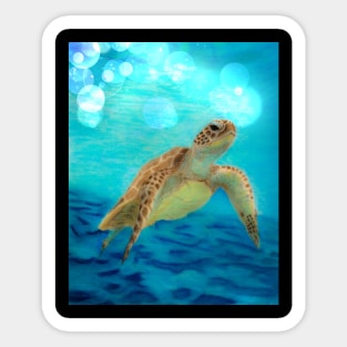 Sea Turtle Sticker